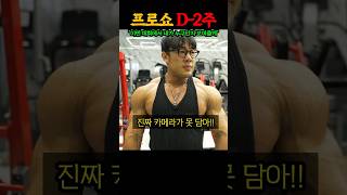 대회 2주 남은 IFBB 프로 역대급 몸상태 대공개 ㅎㄷㄷ feat 212 원종윤 오픈 김영범 [upl. by Attelrak]