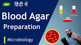 Blood Agar Media कैसे तैयार करें  Microbiology  Hemolysis Detection  Basic Science Series Hindi [upl. by Sedicla]