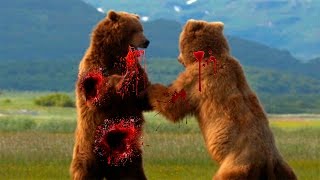 Bears fighting to the death  Wild animals fights  Best epic compilations 2016 [upl. by Kruger842]