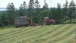 Silage 2012  Massey Ferguson tractors  1080p HD [upl. by Bautista136]