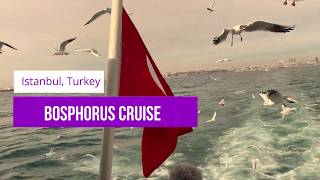 Bosphorus Cruise Istanbul Turkey February 2020 [upl. by Aig732]