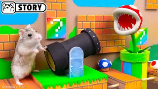 🍄 Hamster Escapes the Super Mario Maze 20 🍄 Homura Ham [upl. by Hallutama707]