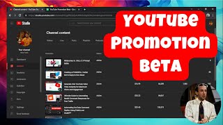 I Spent 23014 on YouTube Promotions Beta  RESULTS [upl. by Aihsyn]