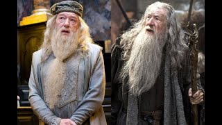 Gandalf vs Dumbledore WHO WINS [upl. by Atiek]