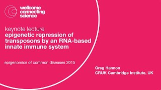 Epigenetic Repression of Transposons by an RNAbased Innate Immune System  Greg Hannon [upl. by Einnalem]