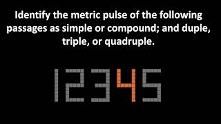 Aural Identifying Metric Pulse 6 [upl. by Nolrev889]