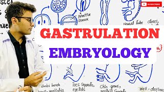 Embryology  Gastrulation [upl. by Ahsilak854]