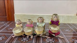 4 Siblings Sit Meditating Very Calmly Waiting Mom To Come amp Feed Them Dinner Treat [upl. by Nehgem]