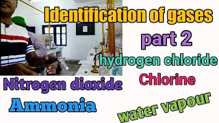 Identification of gases second part hydrogen chloride nitrogen dioxide chlorine ammonia water v [upl. by Anderea]