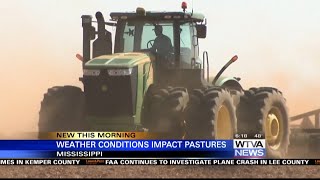 Weather conditions affect Mississippi pastures [upl. by Coumas]