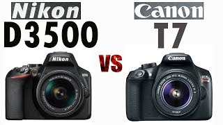 Nikon D3500 vs Canon T7 2000D [upl. by Alemak]