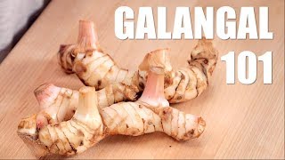 Ultimate Guide to GALANGAL  Hot Thai Kitchen [upl. by Enaej119]