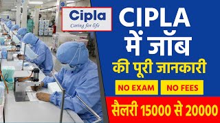 Cipla recruitment 2022  B Pharma Job Baddi Himachal Job  job vacancy 2022 [upl. by Medea537]