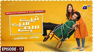 Tere Mere Sapnay Episode 17  Eng Sub  Shahzad Sheikh  Sabeena Farooq  26th March 2024 [upl. by Hiasi]