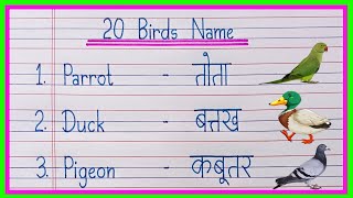 20 Birds Name in English and Hindi  Birds Name  पक्षियों के नाम  Bird Name  Pakshiyon Ke Naam [upl. by Kaufman32]