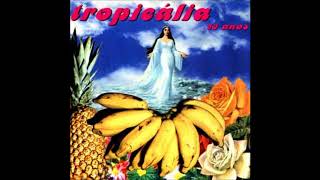 Tropicália 30 anos  full album [upl. by Arhat]