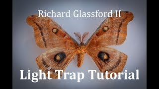 Light Trap How to Collect Insects Fast [upl. by Schellens]