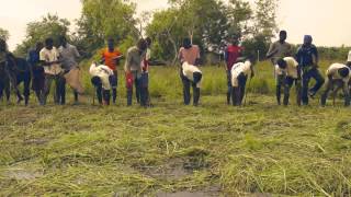 Plantation de mangroves avec Raphaël citoyen du monde ÉcoBénin [upl. by Surtimed]