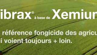 Fongicide blés et orges Librax® à base de Xemium® [upl. by Sankey]