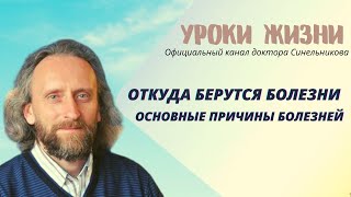 Основные причины болезней и что такое здоровьеВалерий Синельников [upl. by Cressy]