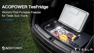 ACOPower TesFridge The Ultimate Portable Freezer for Tesla [upl. by Adiaz]