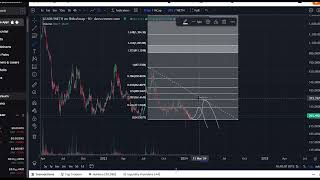 DOGE KILLER Leash Coin Crypto Price Prediction and Technical Analysis Today 2024 [upl. by Razid]