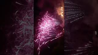 lichterfest westfalenpark Dortmund abschlussfeuerwerk 2024 [upl. by Bank]