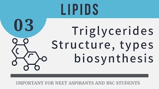 Triglyceride biosynthesis  SaturatedUnsaturated and cis trans fatty acids  Omega fatty acids [upl. by Julietta]