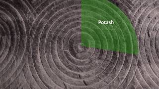 Nutrien What Is Potash [upl. by Delacourt]