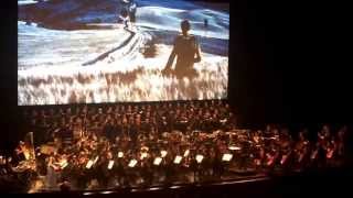 Gladiator live ending scene cine concert [upl. by Wentworth]