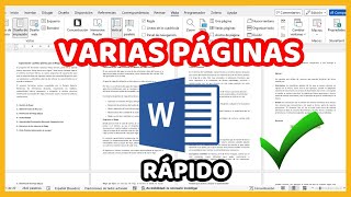 ✅ Como VER VARIAS PÁGINAS a la vez dentro de WORD 2024 [upl. by An]