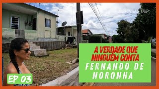 Fernando de Noronha sem filtros conheça a ilha como ela é de verdade [upl. by Venuti]