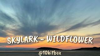 Skylark  Wildflower lyrics  10hitbox [upl. by Chinua759]