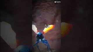 Tarantula hawk vs cowkiller Tarantulahawk cowkiller zackdfilms [upl. by Corin926]