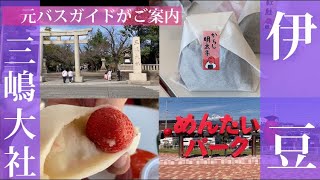 【伊豆観光】元バスガイドが紹介！三嶋大社、めんたいパーク、いちごプラザをご紹介！ [upl. by Rusel]