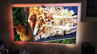 LG C2 OLED 77 Inch TV with Incredible Govee LED Backlighting [upl. by Okuy]