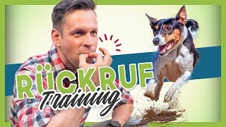 Rückruftraining  Deinem Hund oder Welpen KOMM beibringen [upl. by Howlend]