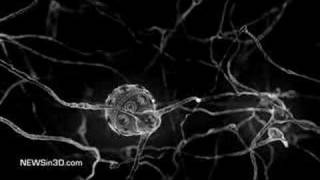 Nanobots replacing neurons [upl. by Supat690]