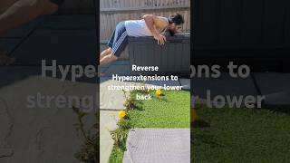 Reverse Hyperextensions for lower back strength [upl. by Blackmore]