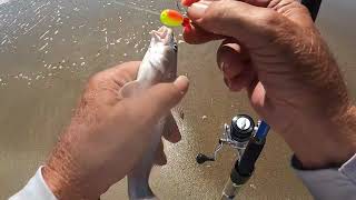 06 07 2024 Tybee surf fishin [upl. by Agata]