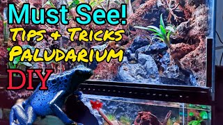 Bioactive Paludarium Vivarium Tips amp Tricks DIY Naturalistic Build [upl. by Ainnek]