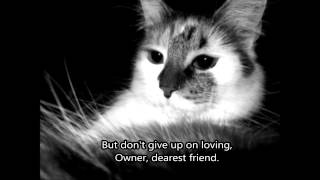 Owner Dearest Friend  Letter From a Lost Pet Pet Memorial [upl. by Ahon472]