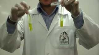 Picric Acids test Part 2 to differentiate between Gelatin amp peptone [upl. by Zeba]