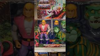 Heman Prince Adam and Cringer figure set toyhunt motu heman mattel matt [upl. by Anauqahs]