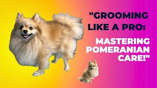 Pomeranian Grooming Secrets Tips to Keep Their Coat Healthy and Shiny [upl. by Olinde]