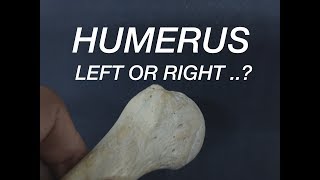 HUMERUS  SIDE DETERMINATION [upl. by Sivaj]