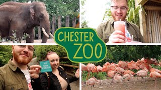 Becoming Members and a NEW Flamingo Walkthrough 🦩 Chester Zoo Vlog June 2021  Travelling Magical [upl. by Kruse]