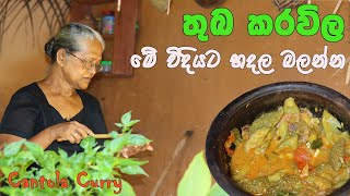 තුබ කරවිල හදන්නේ මෙහෙමයි  Cantola recipe with English subtitles  Aththammai mmai thuma karawila [upl. by Somerville]