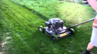 Honda MTD amp Stihl FS38 and BR430 Blower in Tall Grass  1st Lawncutting Vid [upl. by Knowland]