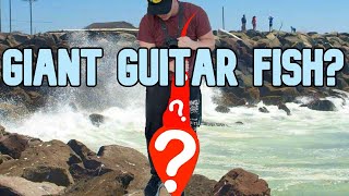 Caught GIANT Guitar Fish  San Diego Bay [upl. by Ahsimrac]